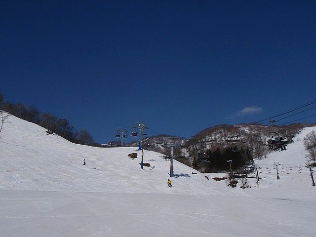 b0187505_9483362.jpg
