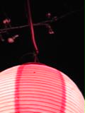 c0097806_22422577.jpg