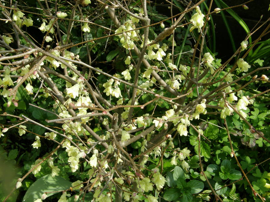 b0061107_0041.jpg