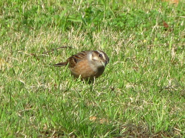 d0037110_2321034.jpg