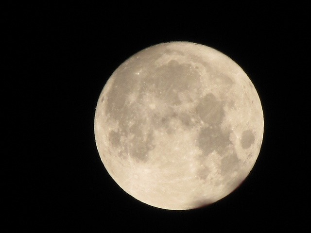 d0037110_23232949.jpg