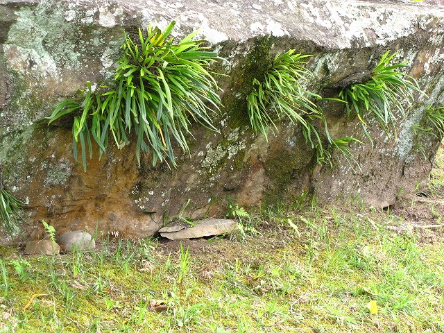 d0037110_23244459.jpg