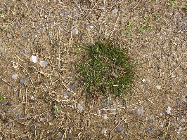 d0037110_23245952.jpg