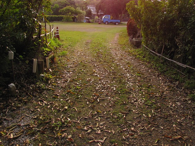 d0037110_23251631.jpg
