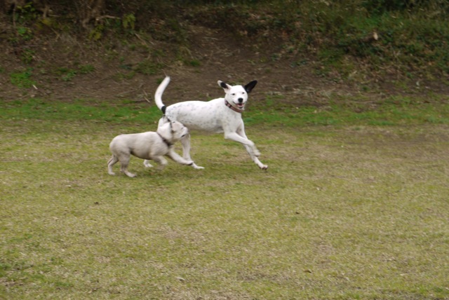 e0007510_1051993.jpg
