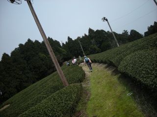 b0183911_018343.jpg