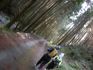 b0183911_0285424.jpg