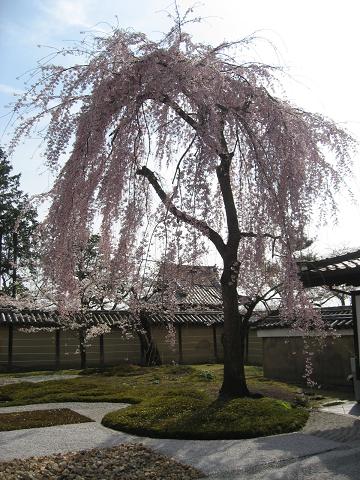 a0044916_2119544.jpg