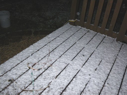 e0166016_91081.jpg