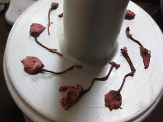 c0226317_205258.jpg