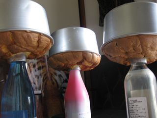 c0226317_2055870.jpg