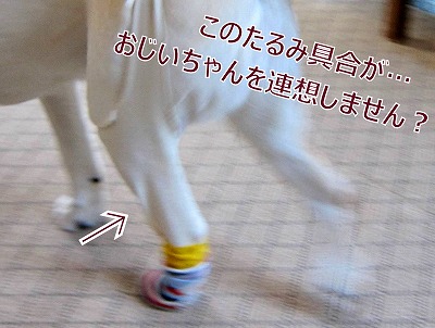 e0192217_10314840.jpg