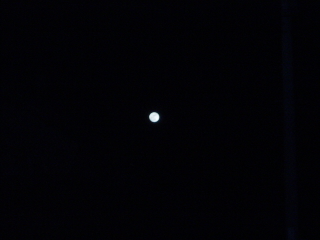 f0192117_2054050.jpg