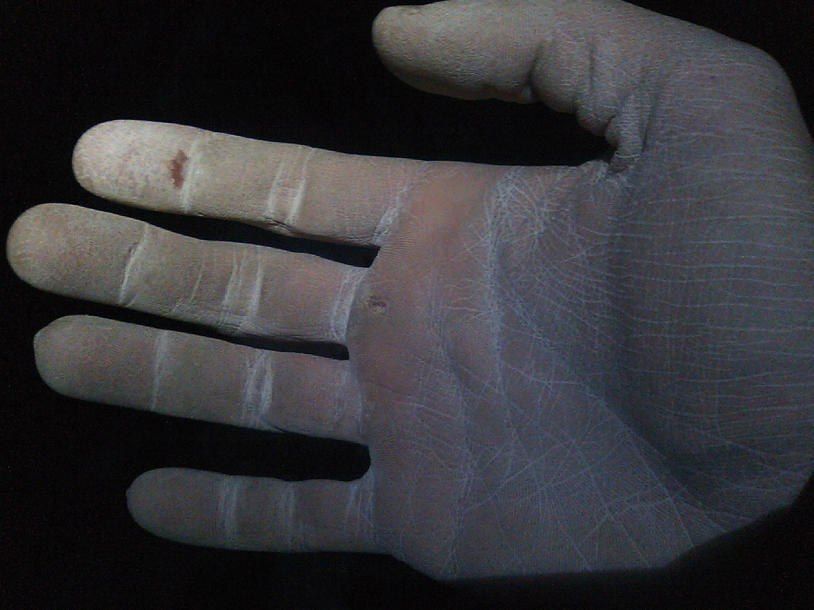 c0210618_2337175.jpg