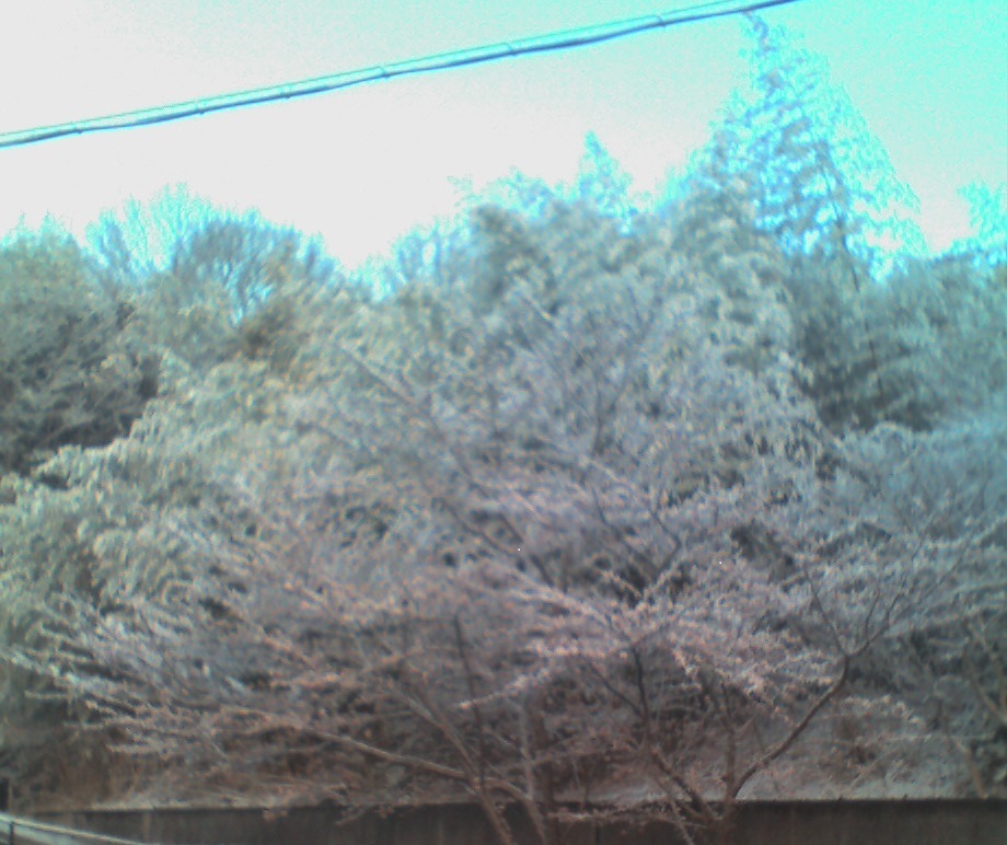 f0048418_10545791.jpg
