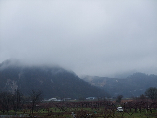 f0182920_2101013.jpg