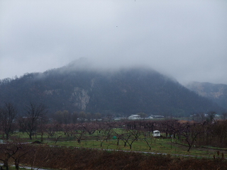 f0182920_943443.jpg
