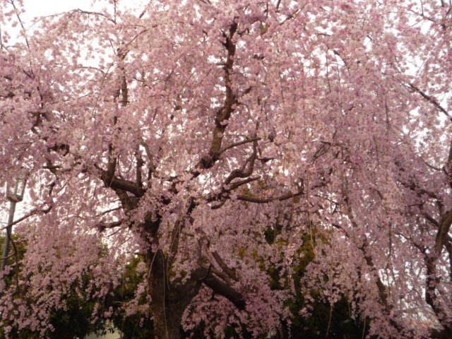 b0188121_2030642.jpg