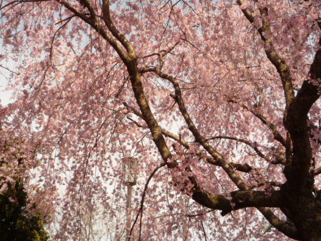 b0188121_2037791.jpg