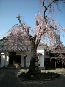 d0006422_23144883.jpg