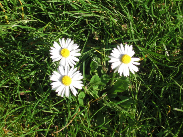 f0173324_2154434.jpg