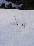 f0188324_053417.jpg