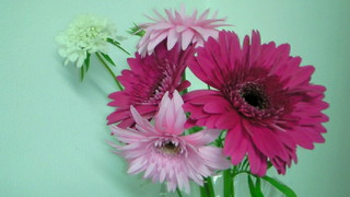 f0176526_7391531.jpg