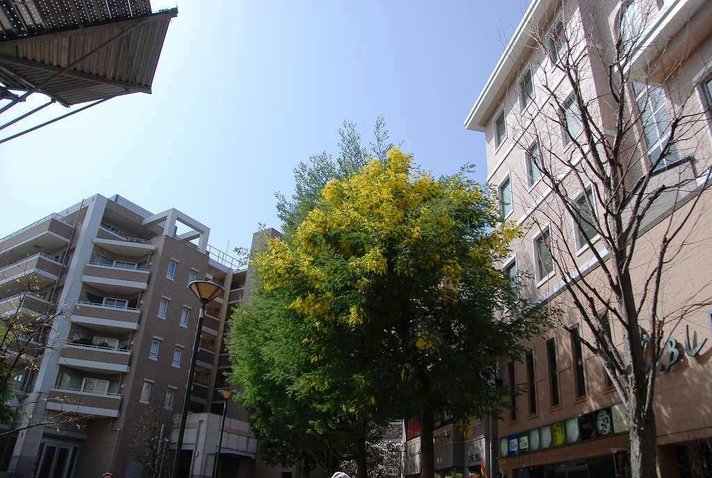 d0109428_11383398.jpg