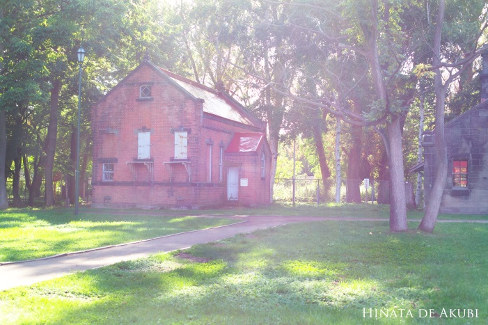 f0006732_22143917.jpg