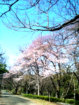 c0152037_22451966.jpg