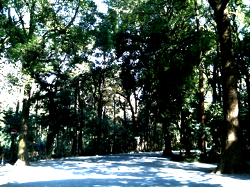 c0152037_22562716.jpg