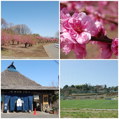 鶴川台尾根緑地