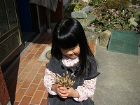 a0023043_10202381.jpg