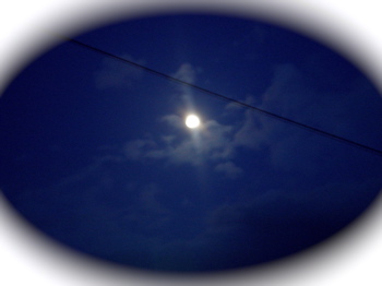 c0153444_958332.jpg