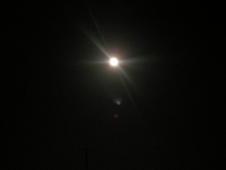b0157246_2325184.jpg
