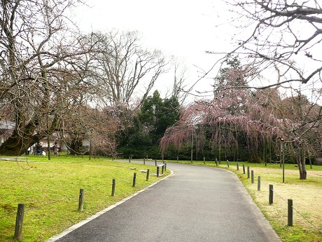 c0057946_18401151.jpg