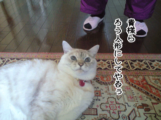 f0116546_1275442.gif