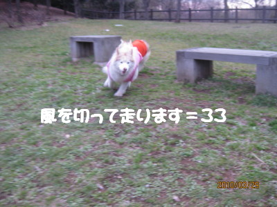 e0121548_10321628.jpg