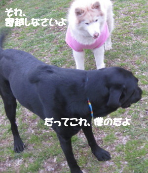 e0121548_10421887.jpg