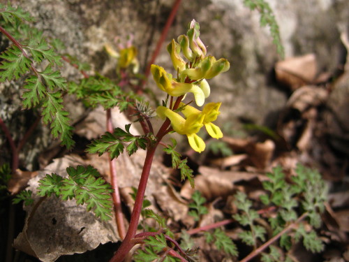 c0179351_20451469.jpg