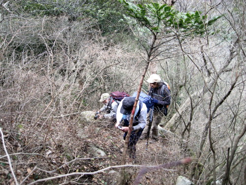 c0179351_20461785.jpg