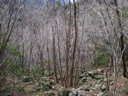 c0179351_20472846.jpg