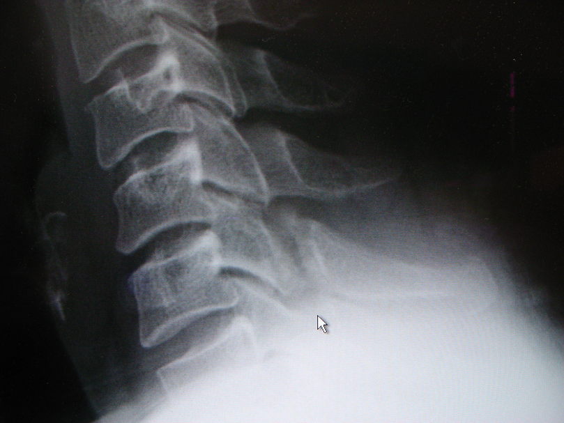 c0164354_4103237.jpg