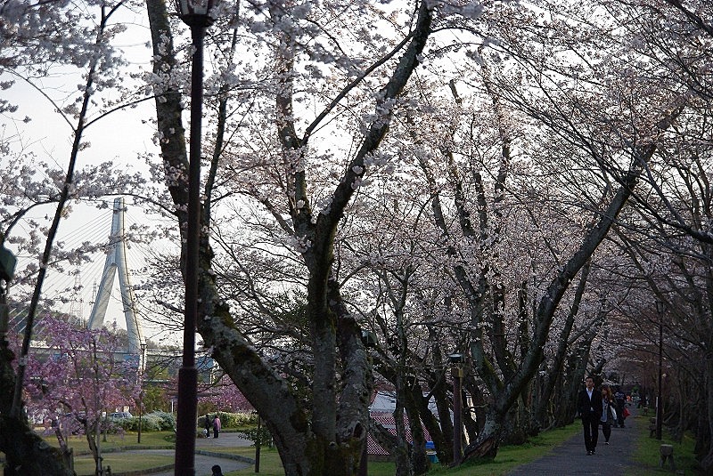 f0207754_22344794.jpg