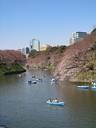 c0074156_2311345.jpg