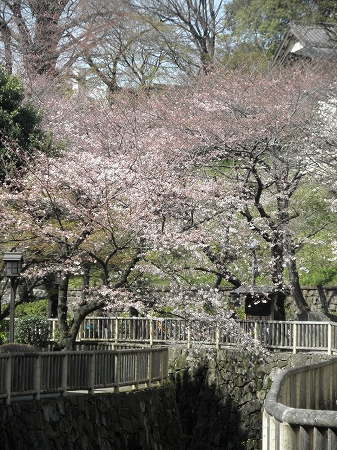 b0145863_21215196.jpg