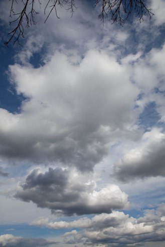 b0091164_155596.jpg
