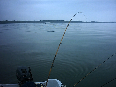a0096669_18255081.jpg