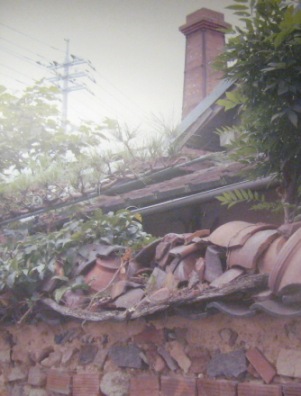 f0088569_1958959.jpg