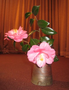 f0088569_207386.jpg